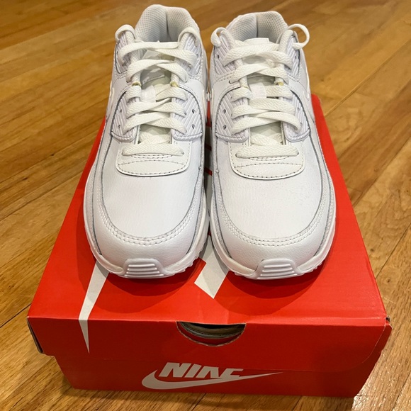 Big Kids Nike Air Max 90